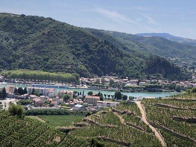 Camping Le Rhône