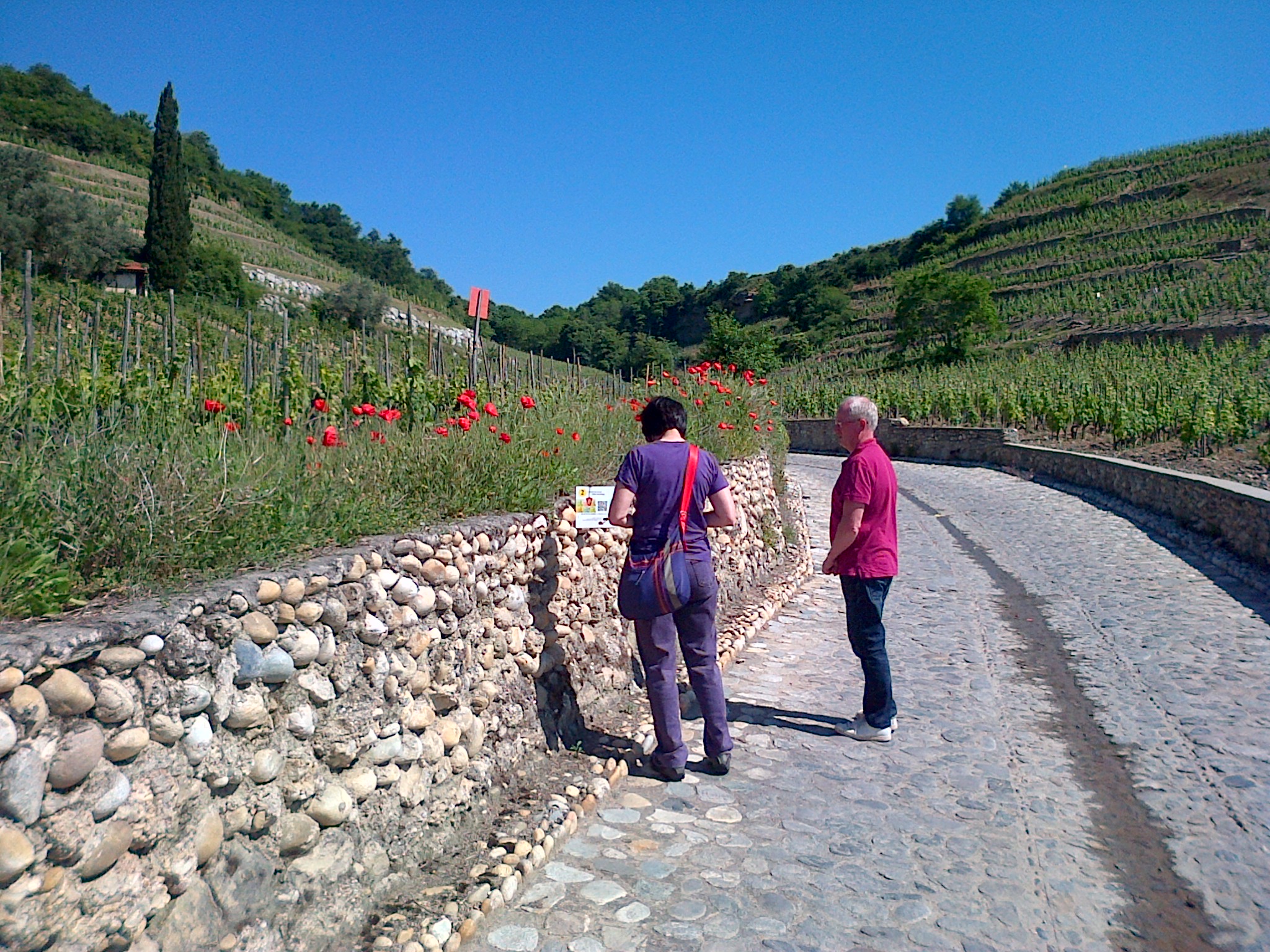 Sentier randonnée