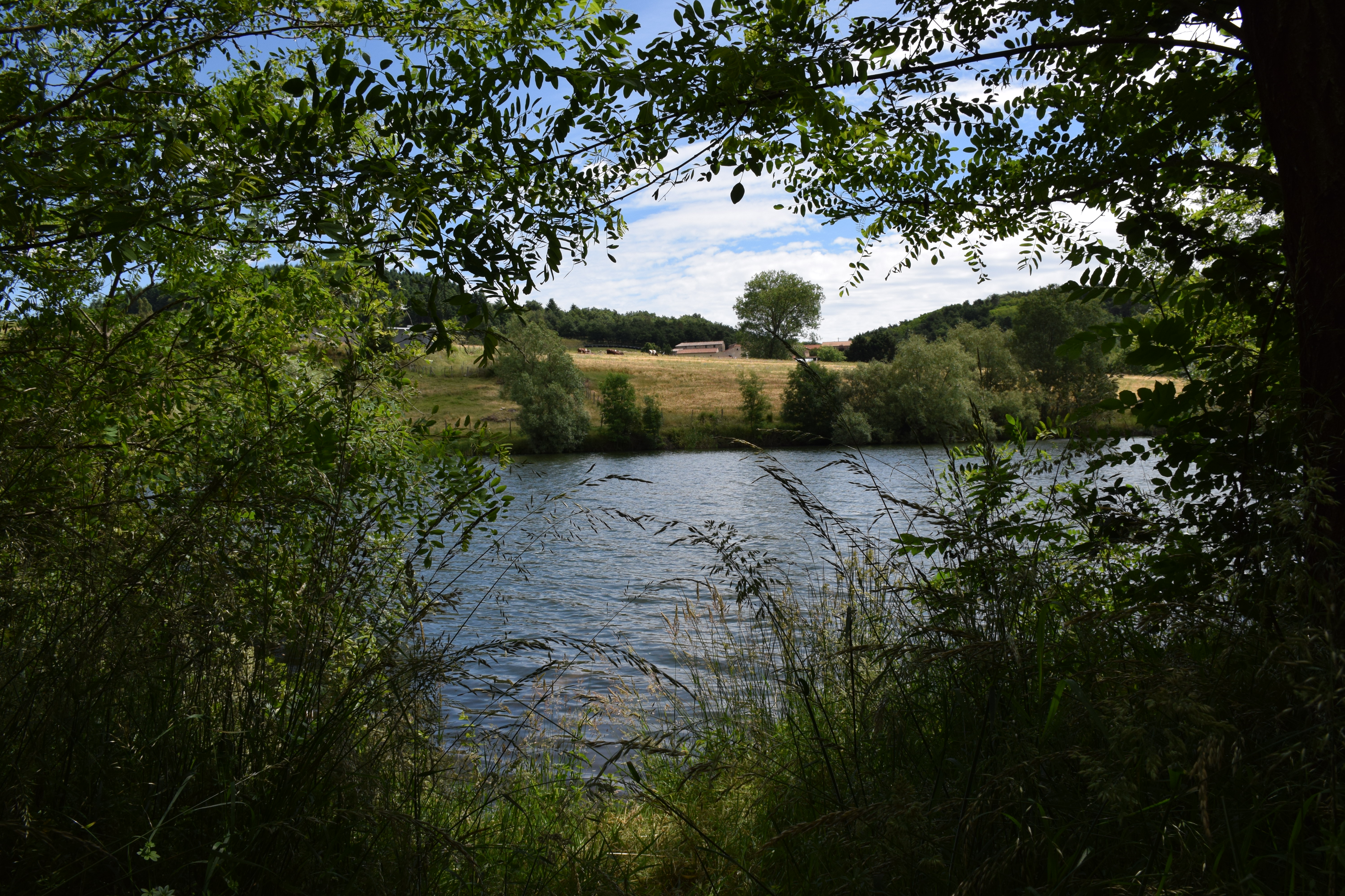 Trouée vers le lac de la Jointine