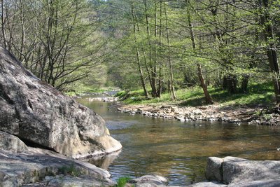 Rivière Daronne