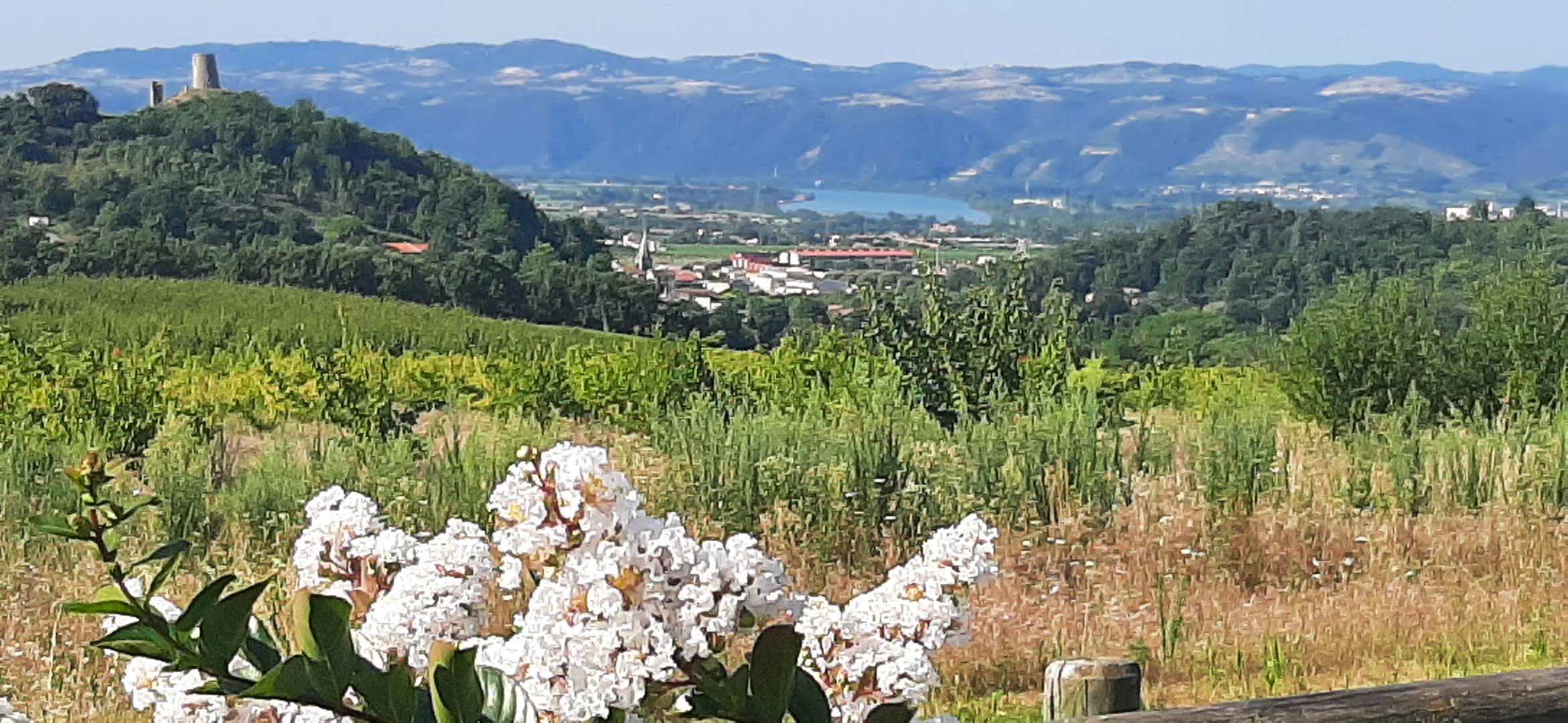 Vue du gîte