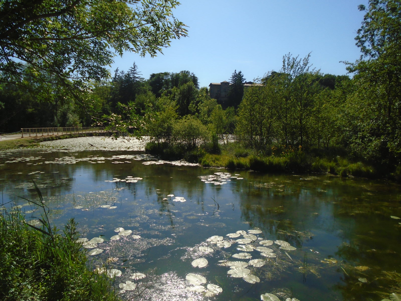 Etang du Mouchet-Chavannes