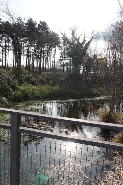 Etang du Mouchet _ Chavannes_ @Hermitage Tournonais Tourisme