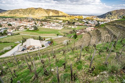 DOMAINE THOMAS FARGE