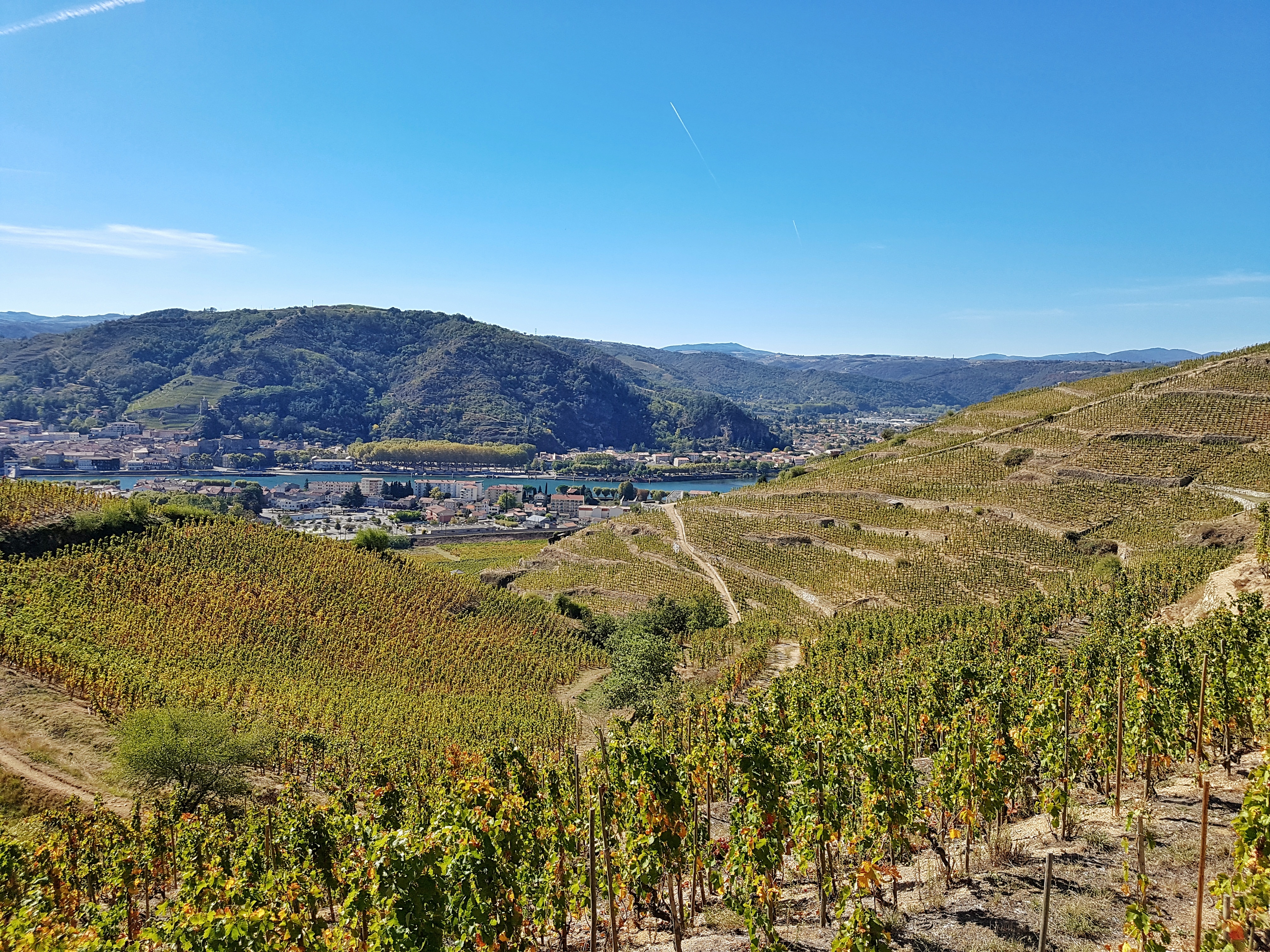 Vignoble de la colline de l'Hermitage