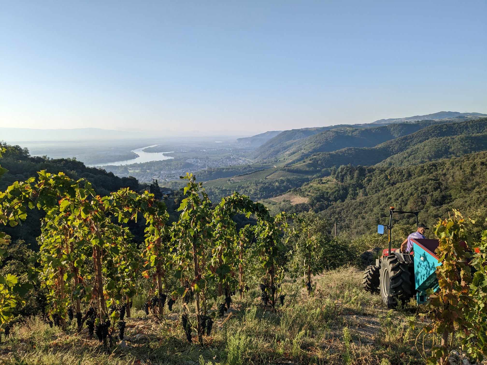 La vue depuis les parcelles de vigne