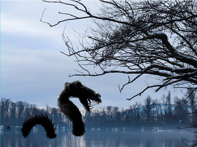 plongée en eaux troubles_lac pierrelles_mauves