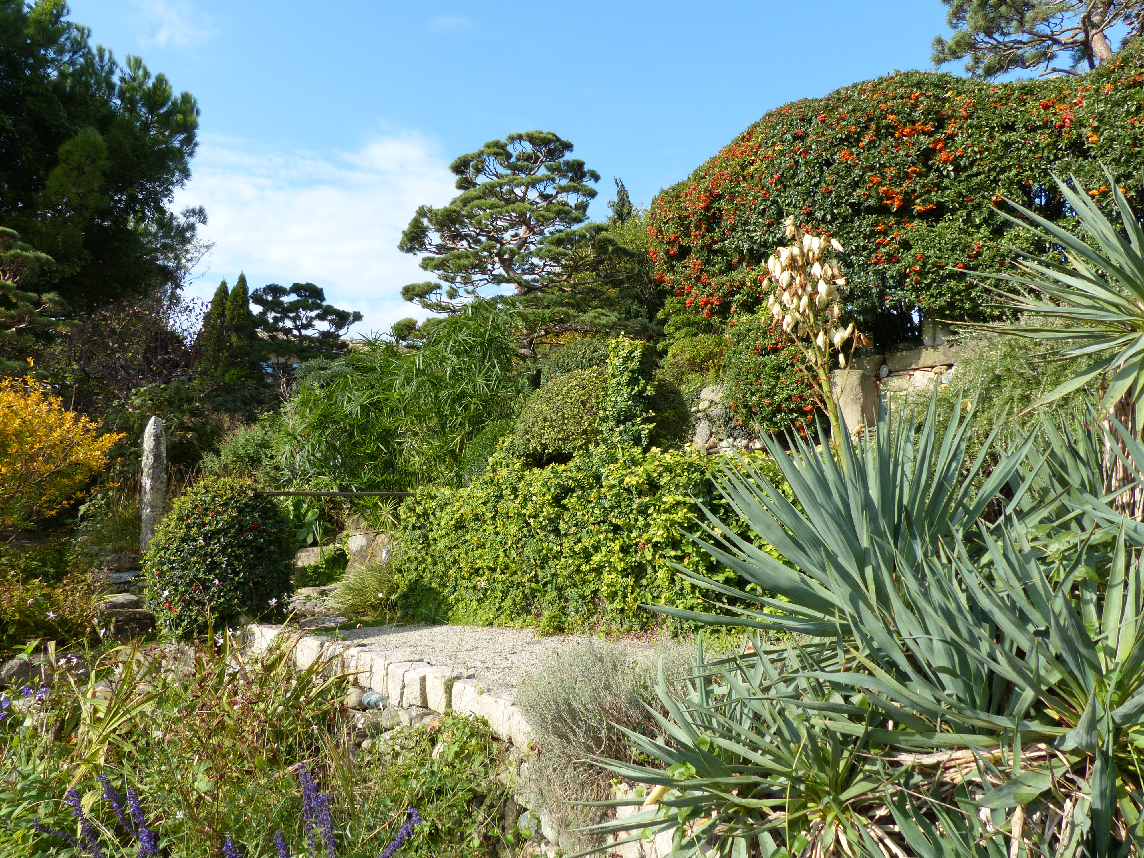 Jardin zen