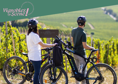 Balade en vélo à assistance éléctrique - Maison M. CHAPOUTIER_Tain-l'Hermitage