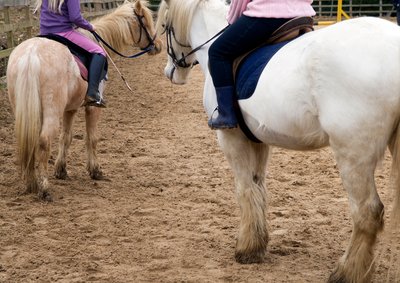 Balade à poney - MC Equin'sense_Tournon-sur-Rhône