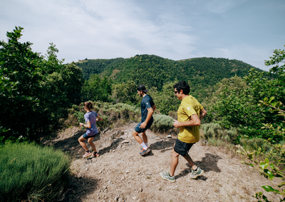 Trail