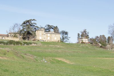 Vue d'ensemble du châteaux des Romaneaux