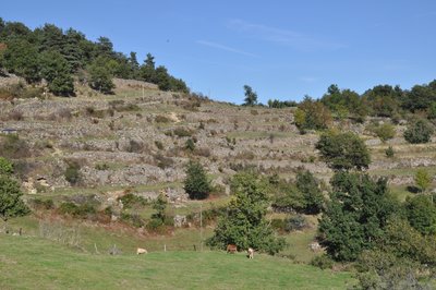 Vue des chalets