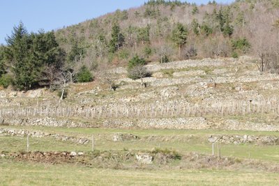 Murs des terrasses