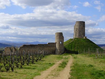 Vue d'ensemble de la tour