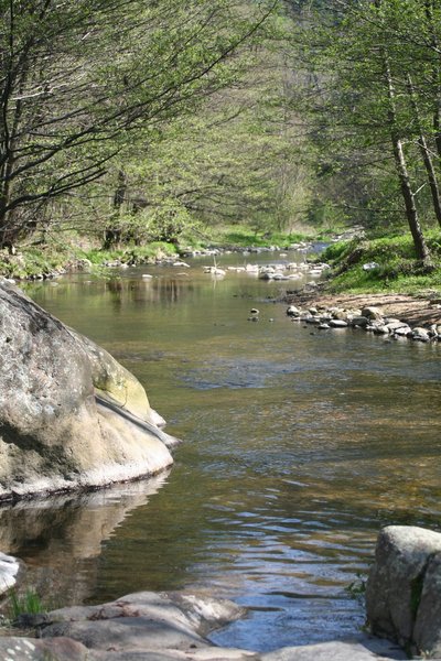 La Daronne en aval de Saint Félicien