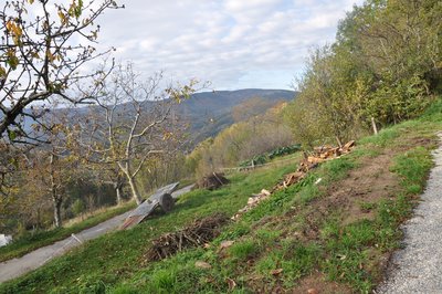 Vue sur la vallée du Doux