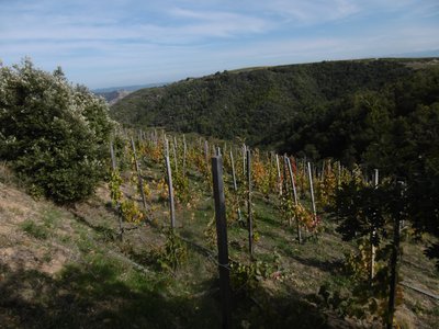 Coteau sous Boyon