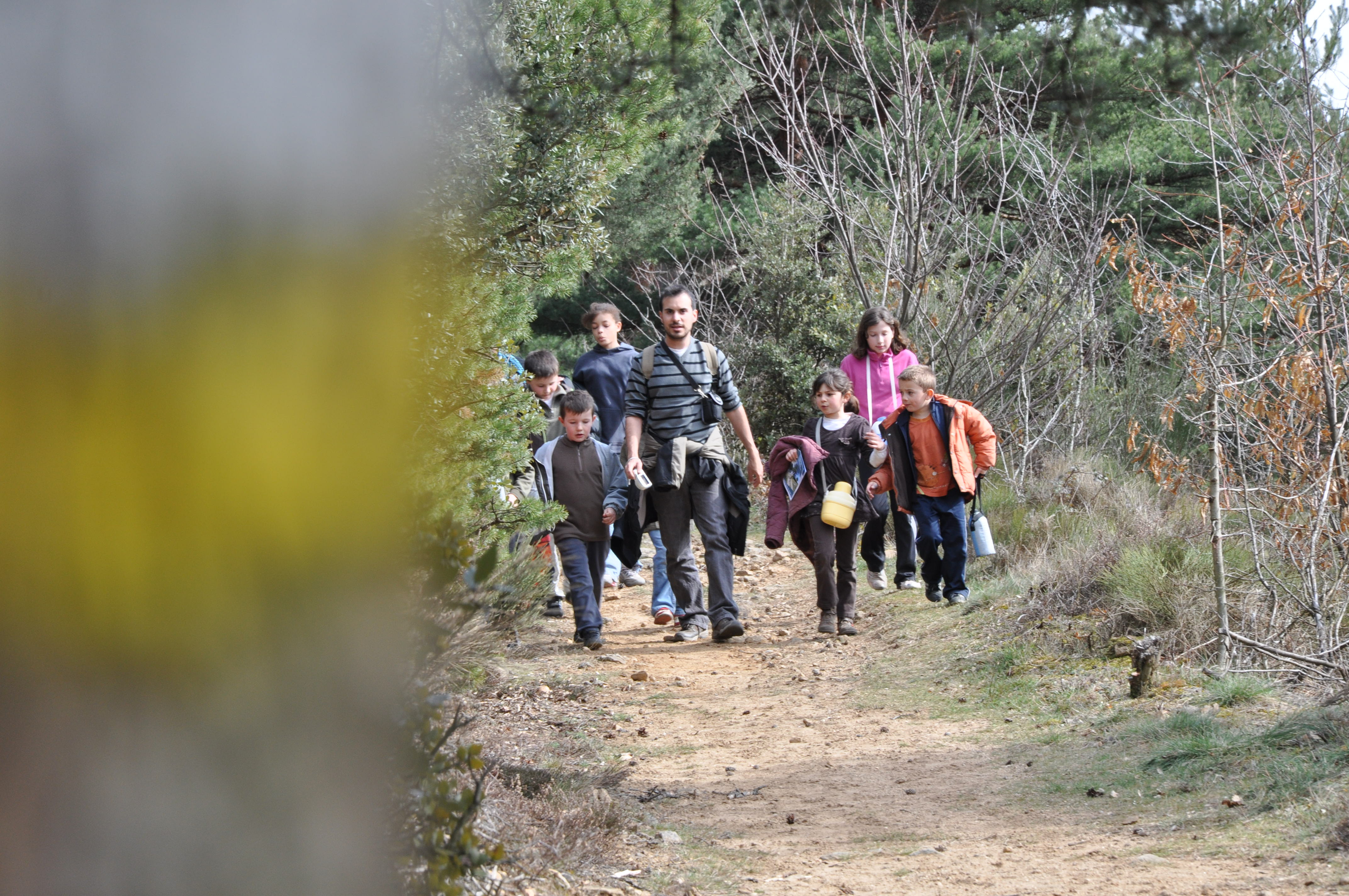 Chemin à proximité de Malgaray