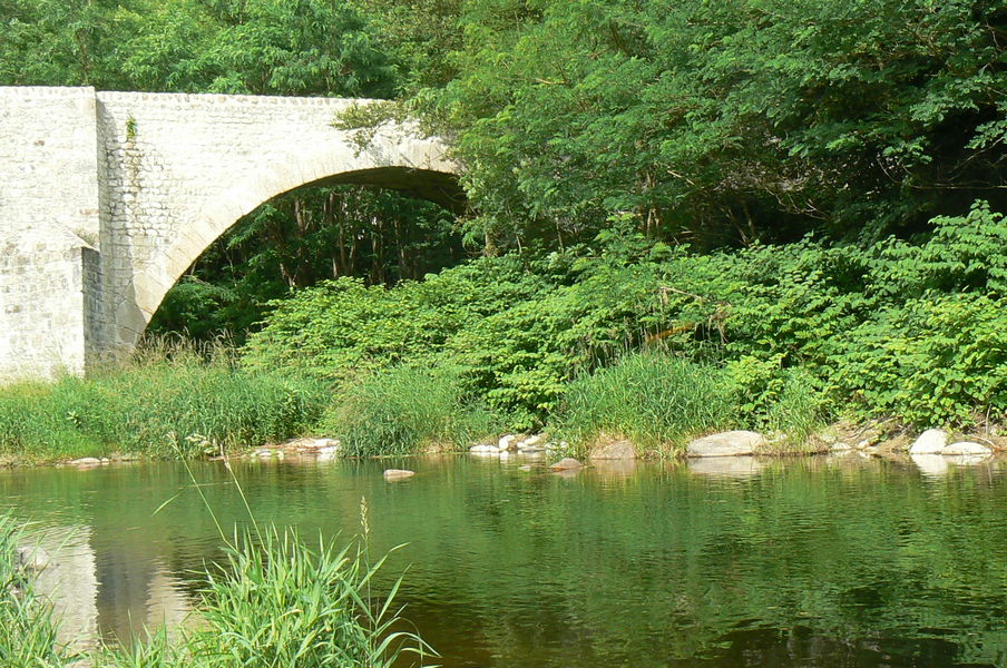 Pont du Roi