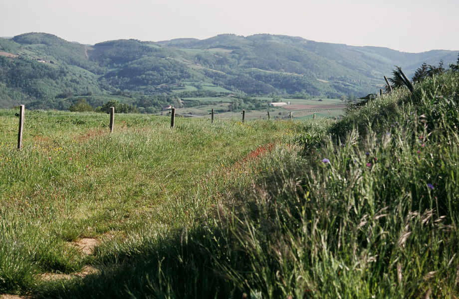 Vallée de l'Ormèze