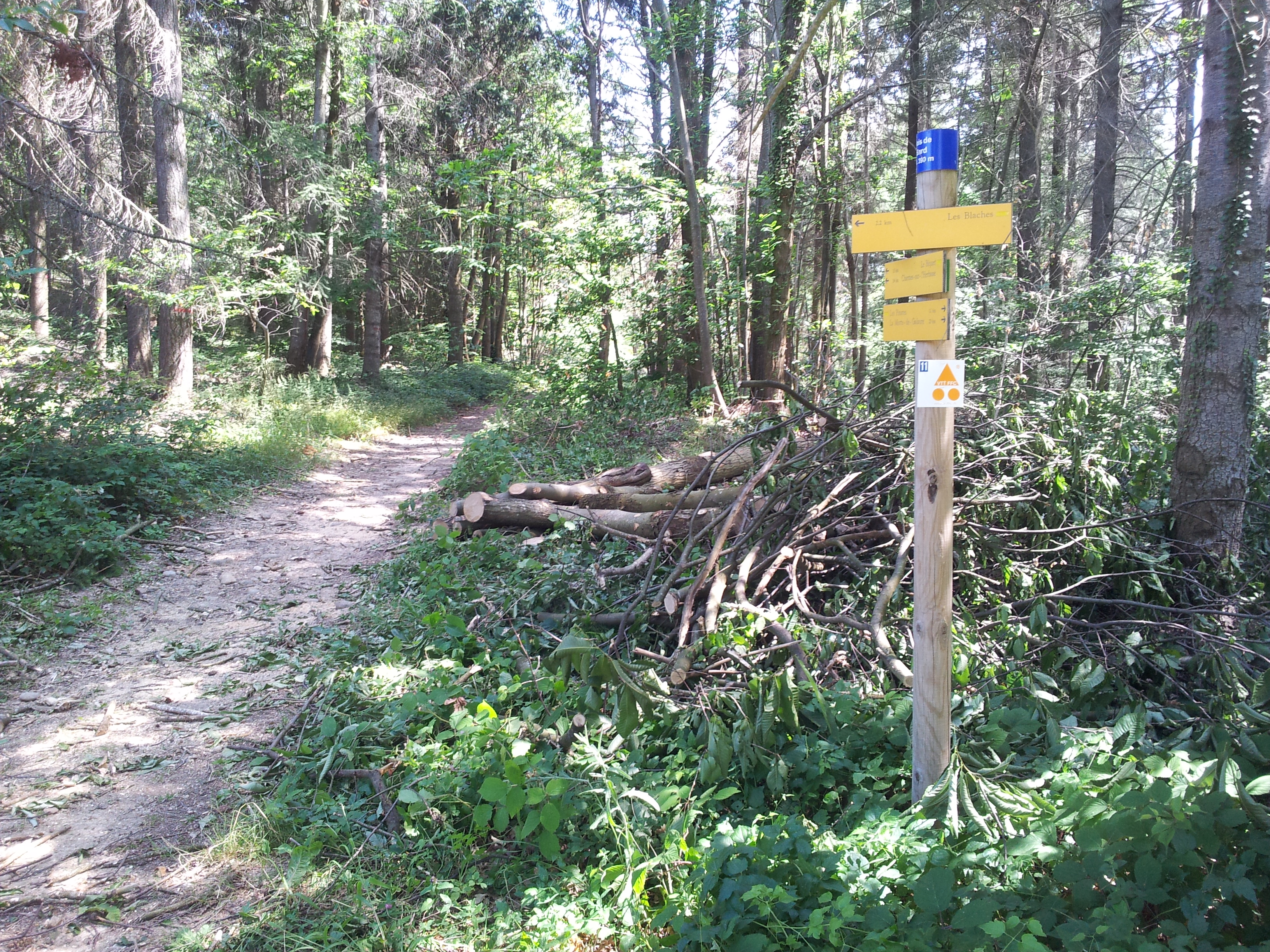 Sentier sur le parcours