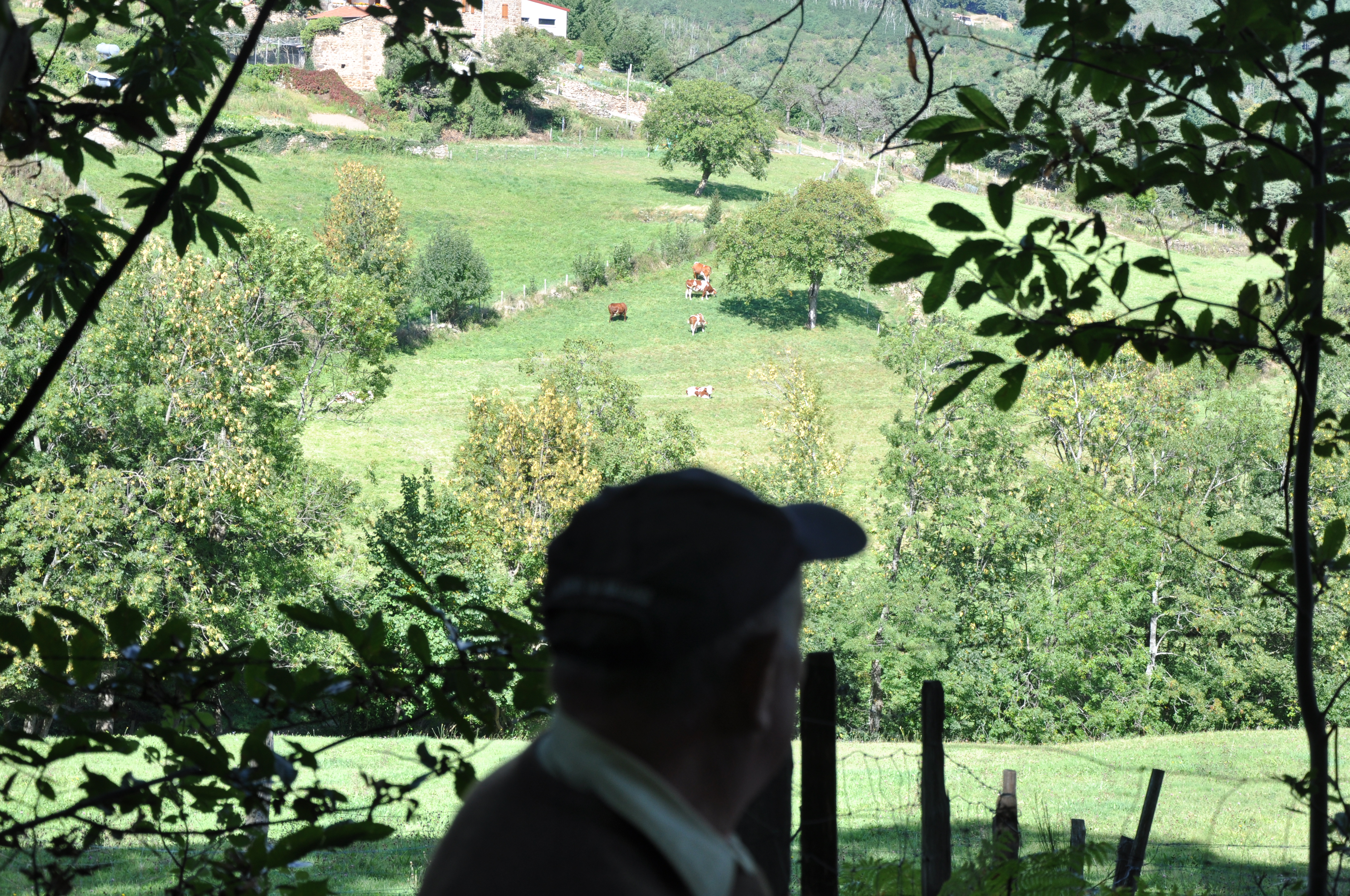 Chemin à proximité du Verger