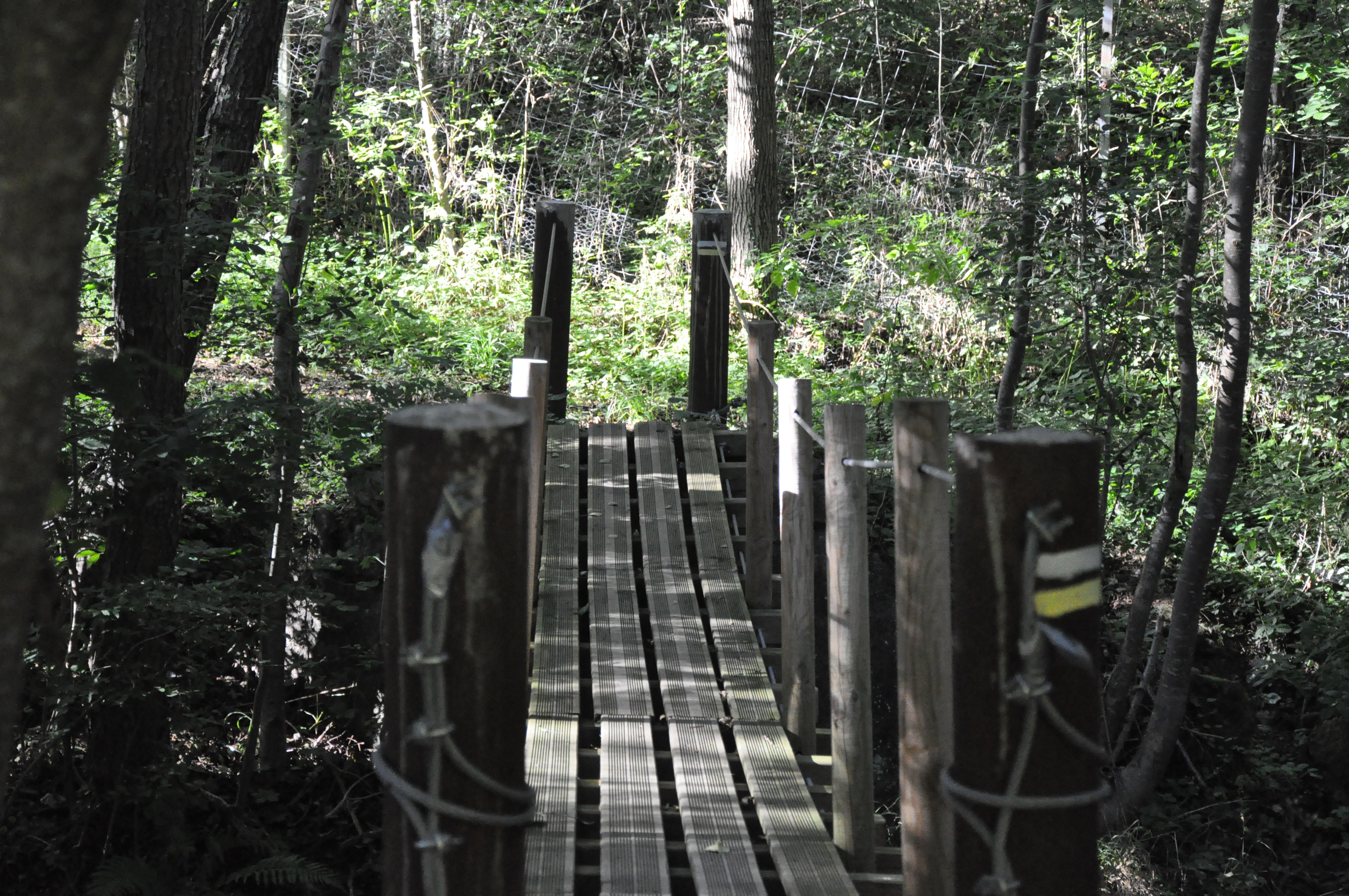 Passerelle de Raillon