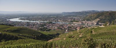 Vignoble de l'Hermitage