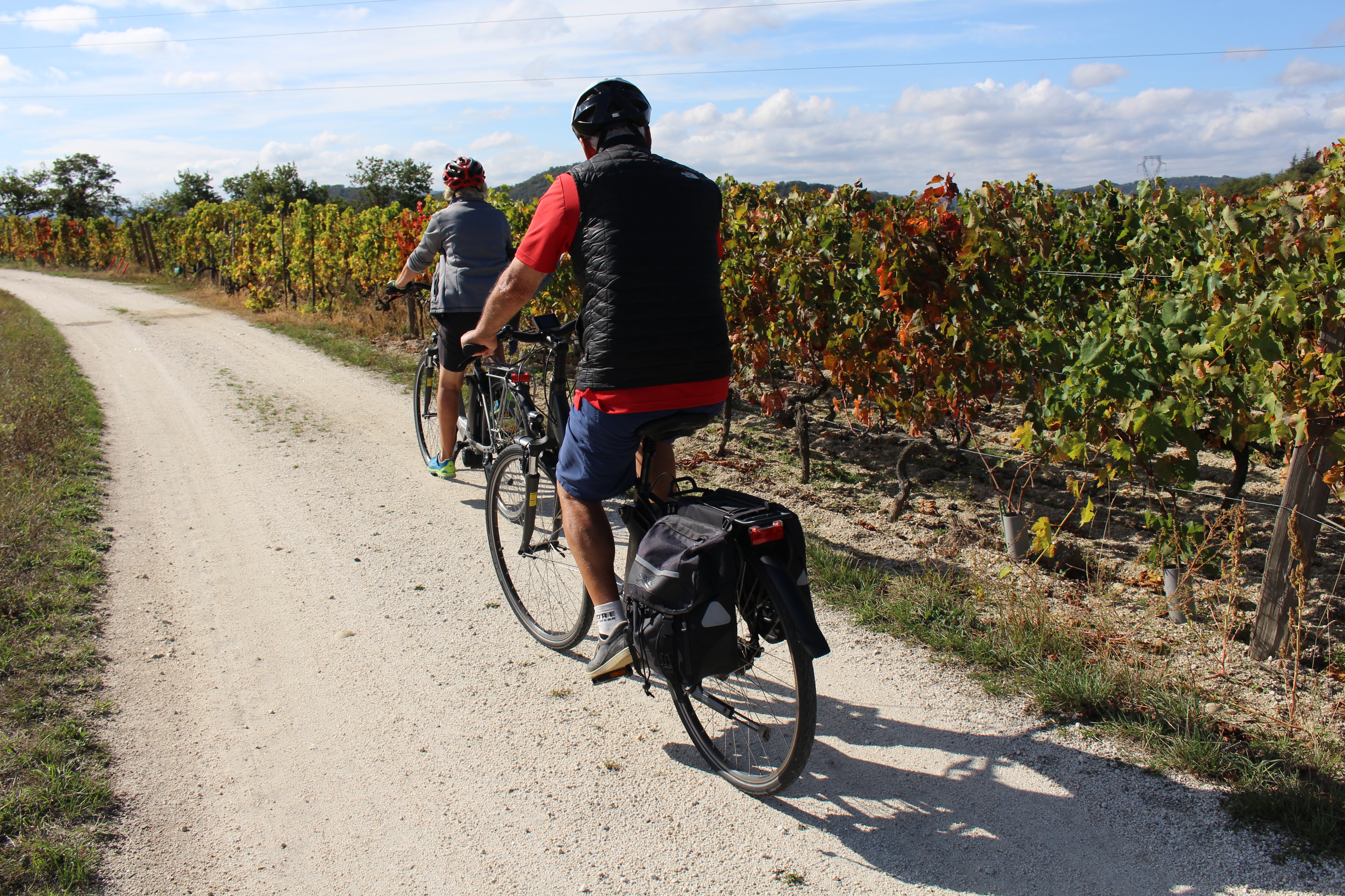 Chemin dans les vignes