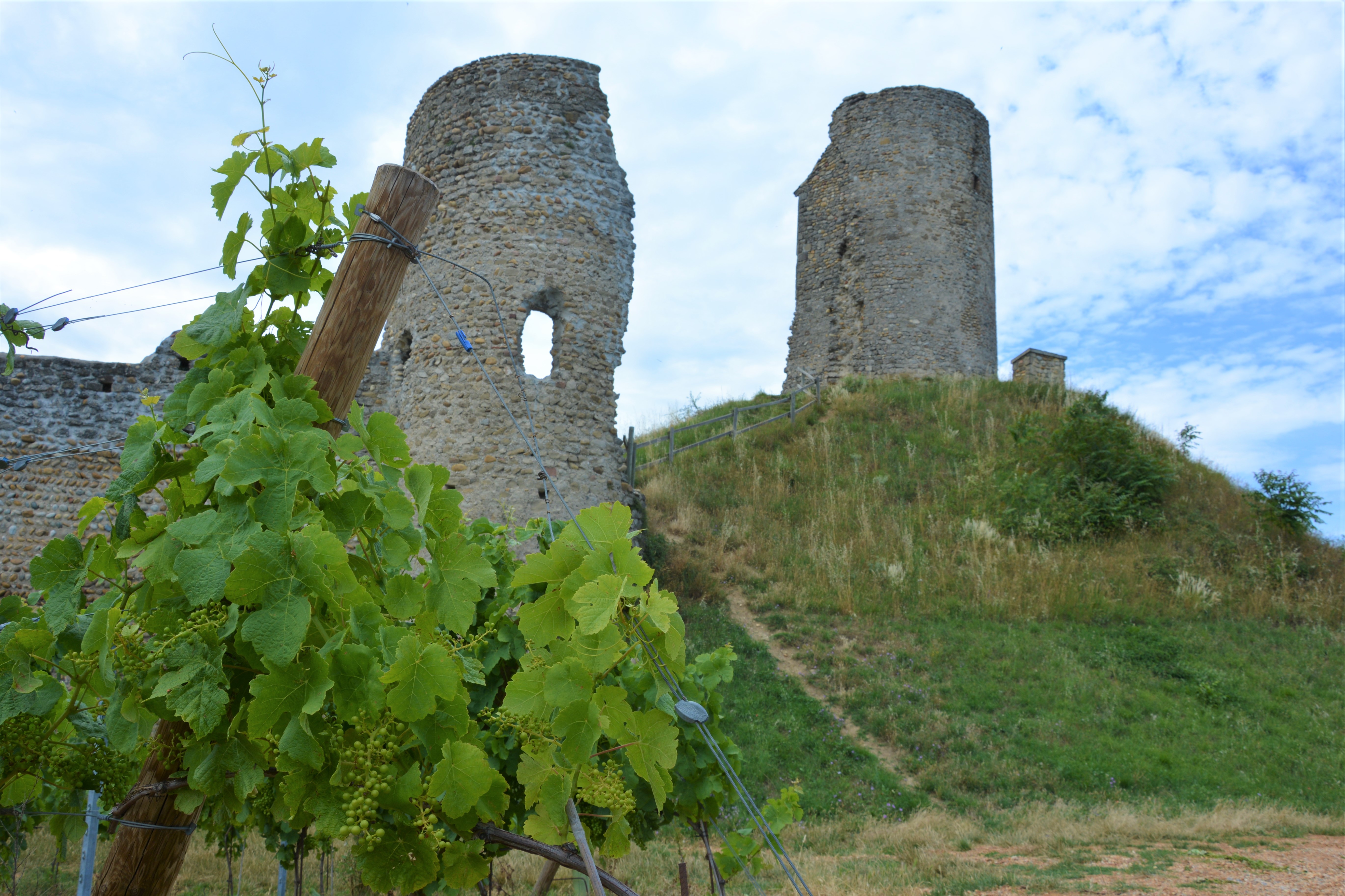 La tour de Mercurol Rando en Ard che Hermitage